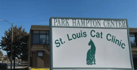 cat sitting st louis.